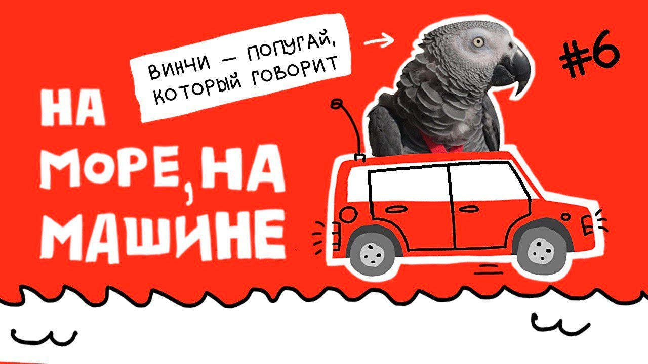 Машина едет к морю Машина едет к морю