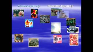 презентация живая и неживая природа 2 класс(, 2015-06-01T08:39:11.000Z)