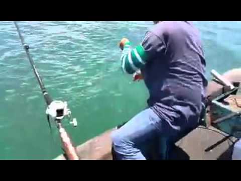 Memancing Ikan Pari Abu Abu Besar Di Laut  Dalam  YouTube