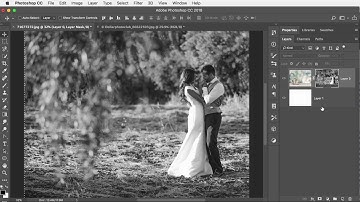 Photoshop Tip 10 of 28: Paste on Layer Mask