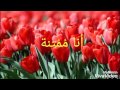 داليا الياس أنا ممتنة داليا الياس أنا ممتنة