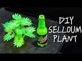 Selloum plant diy plastic bottle craft best out of waste reuse reduce recycle