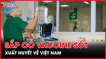 Sớm đưa vaccine sốt xuất huyết Nhật Bản về Việt Nam - PLO