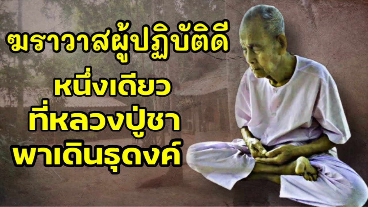 พ่อใหญ่เกลี้ยง ฆราวาสผู้ปฏิบัติดี หนึ่งเดียวที่หลวงปู่ชาพาเดินธุดงค์// ปู่ดอน station