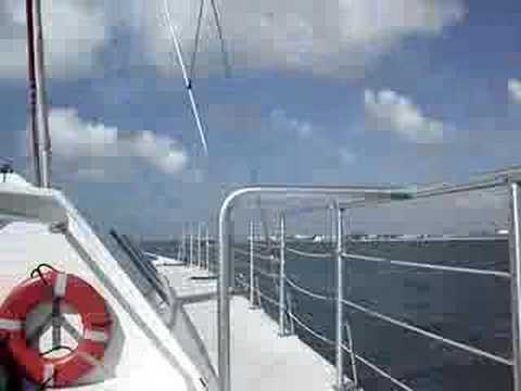 Caribbean Breeze