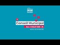 Conseil municipal de la ville de dignelesbains  samedi 4 juillet 2020