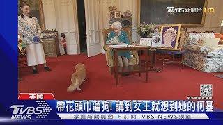 生前最愛! 女王留下兩柯基犬 傳將交安德魯與前妻收養｜TVBS新聞