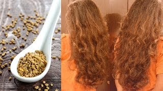 How to Stop Hair Fall Using Fenugreek Seeds