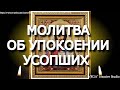 Вселенская родительская суббота. Церковная панихида об упокоении усопших