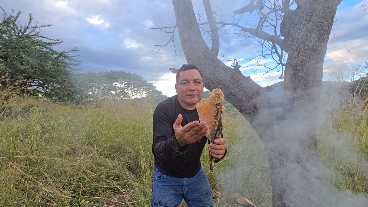 los benimos asacar la primer colmena de la temporada de miel 🍯 