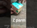 Z purm