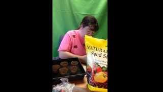Planting Nutmeg + Gardenia Seeds - Sheri Ann Richerson ExperimentalHomesteader.com