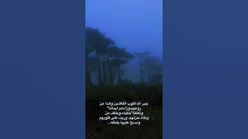 سوره الانسان|علي جابر