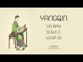 FREE Yangqin Loops (Royalty Free) | Traditional Chinese Instrument for Music Producers | 02