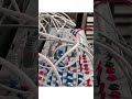 SCHLAPPY MARFING #eurorack #synth #modularsynth #electronicmusic