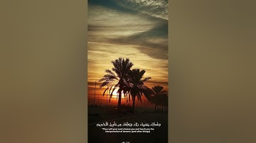 ارح سمعك قرآن كريم سوره يوسف تلاوه عطره