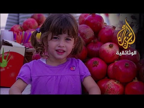 حكايات البحر في عكا
