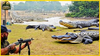 Download Lagu Angst en vuurkracht – Krokodillen opsporen met geweren in afgelegen wetlands in Azië | Invasieve ... MP3 Download Lagu Angst en vuurkracht – Krokodillen opsporen met geweren in afgelegen wetlands in Azië | Invasieve ... MP3