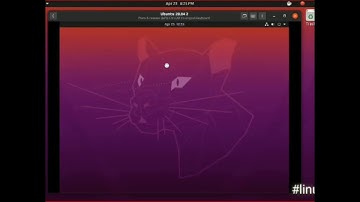 Ubuntu 20.04 LTS Installation with ZFS time lapse
