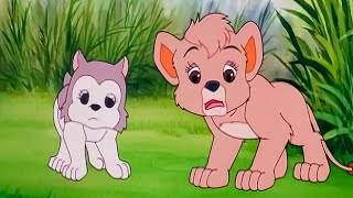 Simba  The King Lion | سيمبا  الأسد الملك | حلقة كاملة 04 | رسوم متحركة للأطفال باللغة العربية