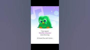 your year in review is in… #duolingo365 #languagelearning #yearinreview