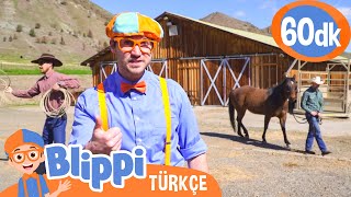 Blippi Çiftliği Ziyaret Ediyor | Blippi Türkçe  Çocuklar için Eğitici Videolar