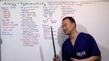 Allergy and Hypersensitivity Type IV Clinical Immunology