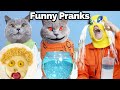 Try my latest prank to unleash weekend joy oscars funny world  new funnys 2024