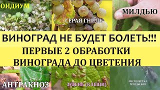 ВИНОГРАД НЕ БУДЕТ БОЛЕТЬ!!! ПЕРВЫЕ 2 ОБРАБОТКИ ВИНОГРАДА ПЕРЕД ЦВЕТЕНИЕМ.Болезни винограда.