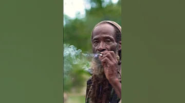 Light It Up Shorts Rasta Lion Jamaica Rastafari Ganja 