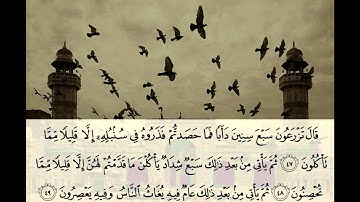 محمد البراك - سورة يوسف كامله