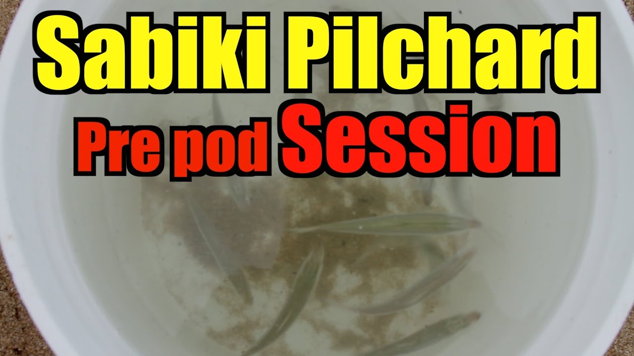 Sabiki Rig Bait Fishing 08 23 2013 Mullet Run 