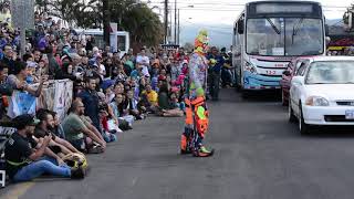 Karcocha en  Costa Rica  - Coronado 2018