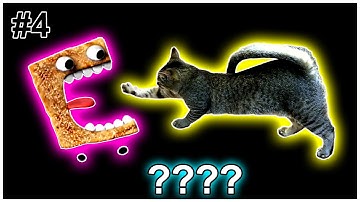 6 Cinnamon Toast Crunch vs Cats "Part 4" Sound Variations in 60 seconds