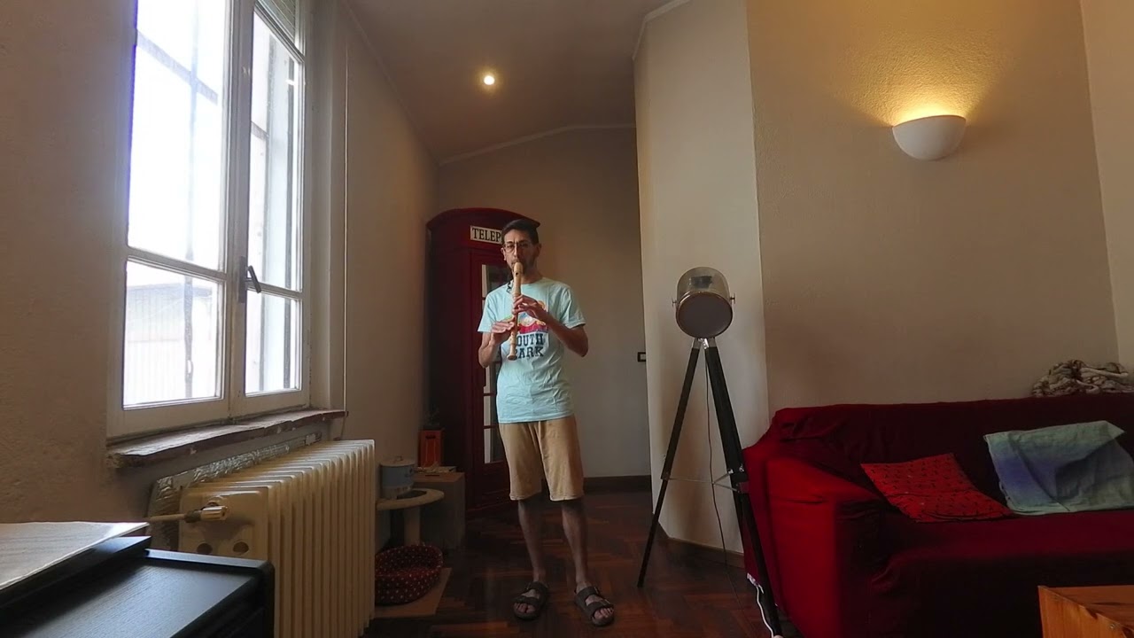 My Heart Will Go On - Alto Recorder