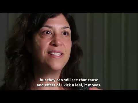 Beam - What the Anderson Center for Autism has to say