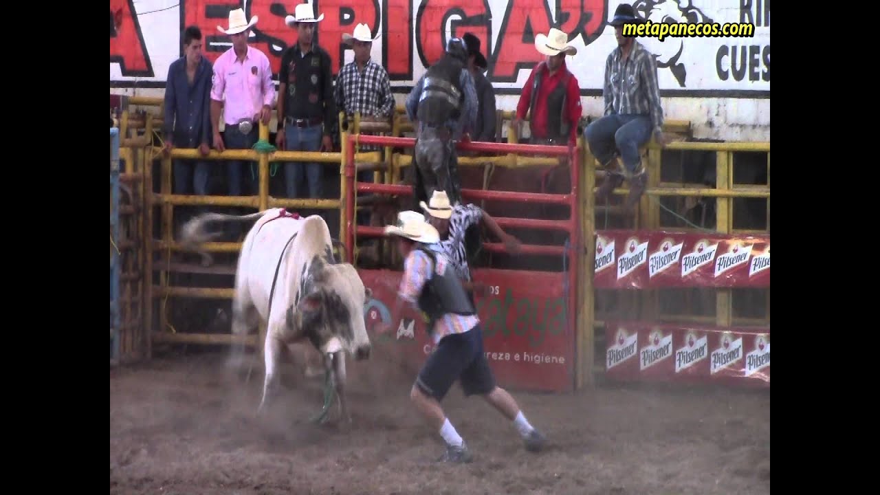 Jaripeo centro americano octubre 2014 Metapan cementerios de barcelona