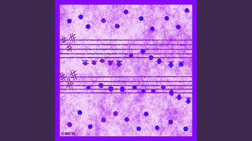 Serenade for String Orchestra