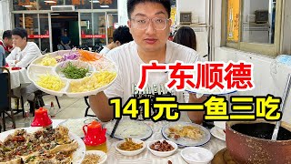 Enjoying raw fish in Shunde , 141 yuan only , three dishes made in one fish