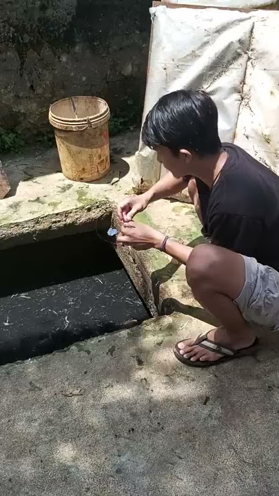 Mancing di selokan dapat ikan lele besar || full video cek deskripsi