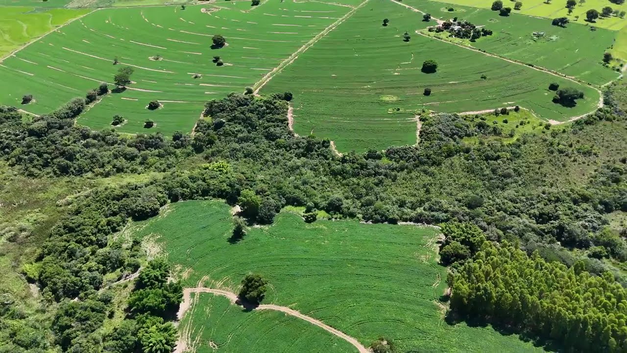 Fazenda Magnífica em Echaporã/SP: 138 Hectares de Pura Produtividade e Água - (61) 9 8181.3937