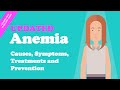 Anemia  causes symptoms treatments and prevention