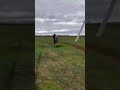 16 августа 2024 г.