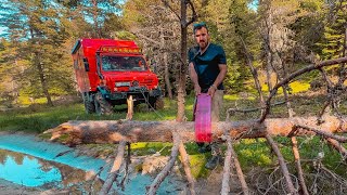 WE CLEANED THE CAMPING ROAD OF FALLEN TREES | THANKS TO 100,000 SUBSCRIBERS