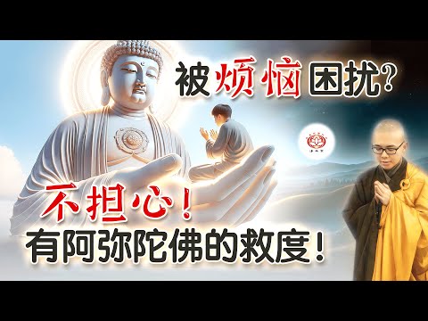 被烦恼困扰？不担心！有阿弥陀佛的救度！ 👼 | 净本法师 主讲