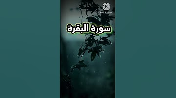 سورة البقره #المصحف #اكسبلور #بني_هاشم