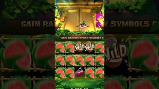 50 Rs Bet On Jungle Delight Max Win On Jungle Delight