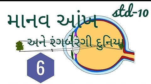 Std-10.Sci.Ch-11.P-6. માનવ આંખ અને રંગબેરંગી દુનિયા