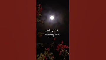 وَلَقَدْ آتَيْنَا دَاوُودَ مِنَّا فَضْلًا ۖ  🤍 القارئ ناصر القطامي 🤍