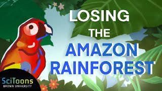 Amazon Rainforest| How we might lose the Amazon Rainforest